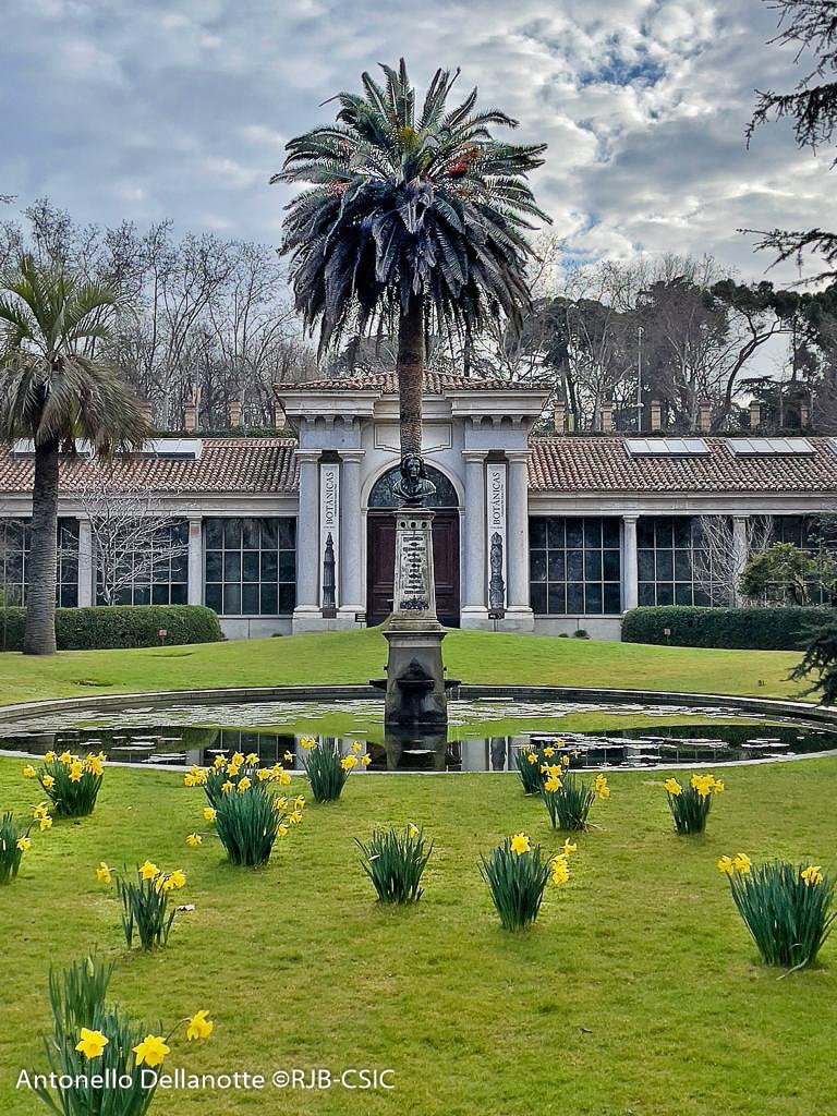 The Real Jardín Botánico in Madrid